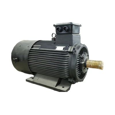 En fazla 50 kg un kapasitesi kalıcı mıknatıslı senkron motor IEC/DIN standart hava/su soğutması