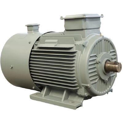 En fazla 50 kg un kapasitesi kalıcı mıknatıslı senkron motor IEC/DIN standart hava/su soğutması