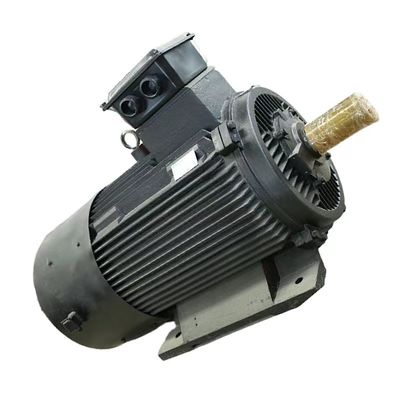 En fazla 50 kg un kapasitesi kalıcı mıknatıslı senkron motor IEC/DIN standart hava/su soğutması